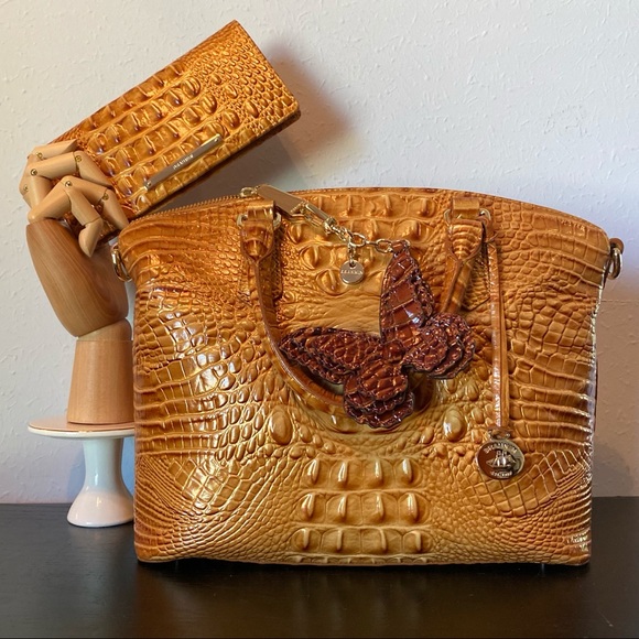 My Brahmin Set Is Complete! - Picture 5 of 12